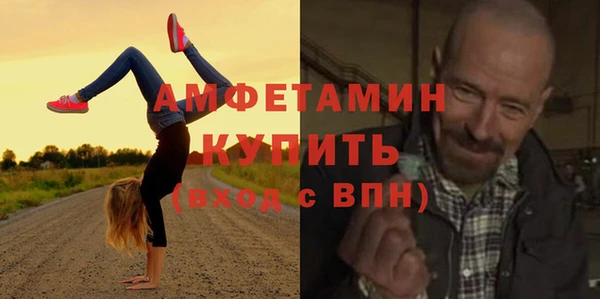 шишки Сосновка