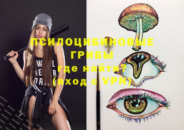 гашик Белоозёрский